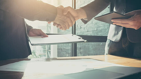 Meet the Team