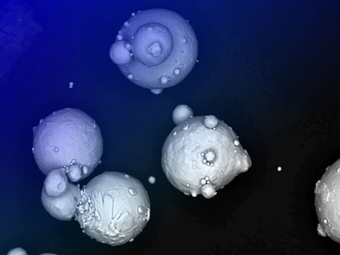 Particulate Analysis